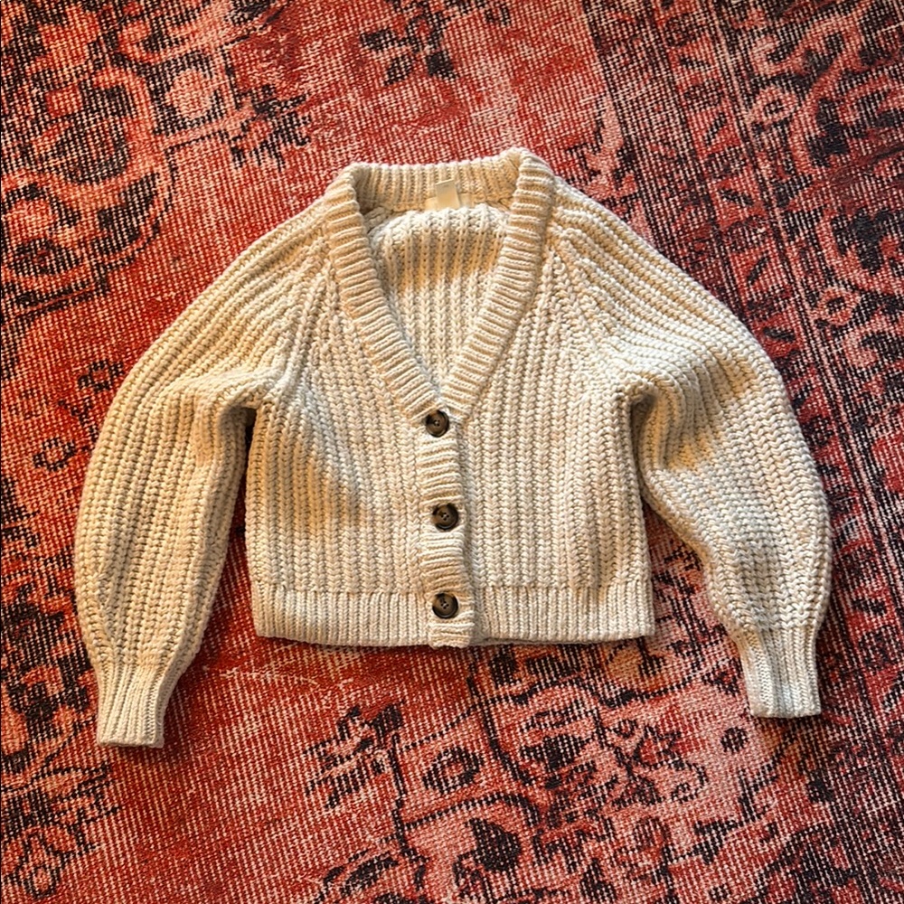 H&M Chunky Knit Cardigan Sweater